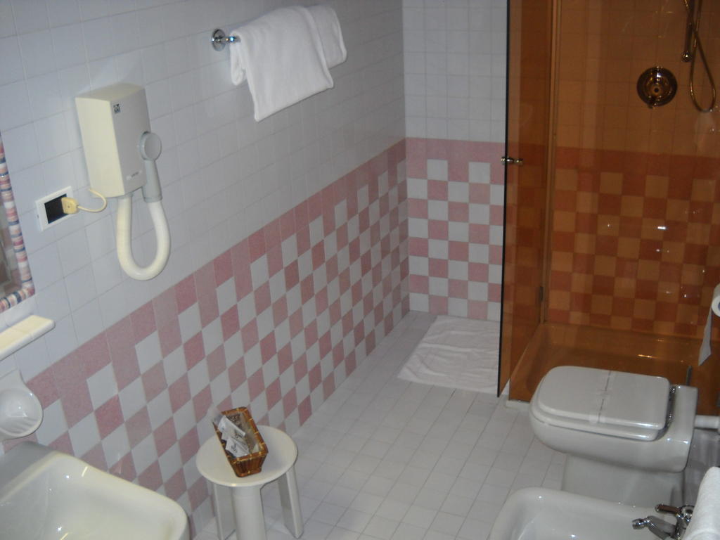 Hotel Faccioli Valeggio sul Mincio Værelse billede